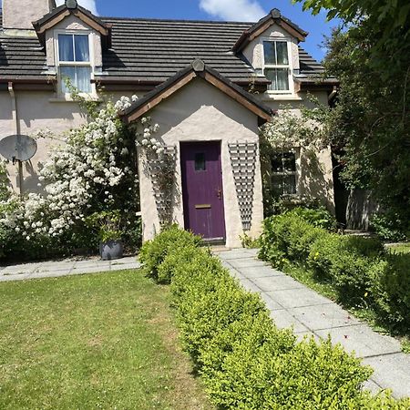 Orchard Cottage Dingle Bagian luar foto