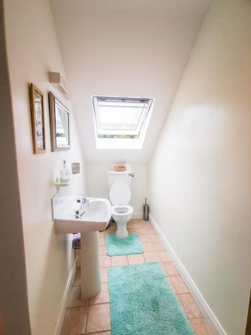 Orchard Cottage Dingle Bagian luar foto