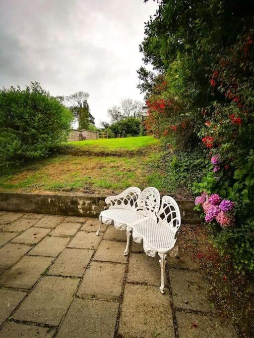 Orchard Cottage Dingle Bagian luar foto